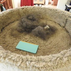 Effective Fur-Free Starter Kit- Uproot Mini, Pro & Xtra